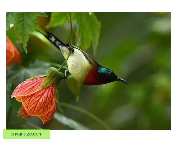 zoomdog2019灵感启航于创意星海中翱翔，未来漫步分享数码绘梦景，科技与幻想共生